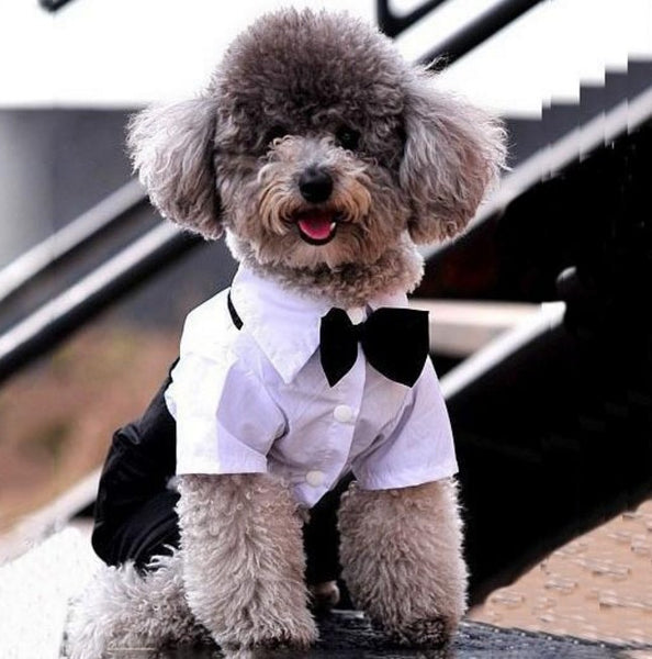 Prince Tuxedo Bow Tie Jumpsuit